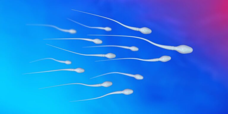 Spermiogramma: cos'è e perché è importante